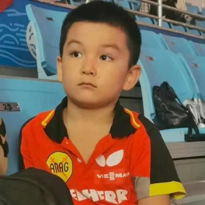 樊振东德甲收官战后布局MLTT联赛，开启乒乓球商